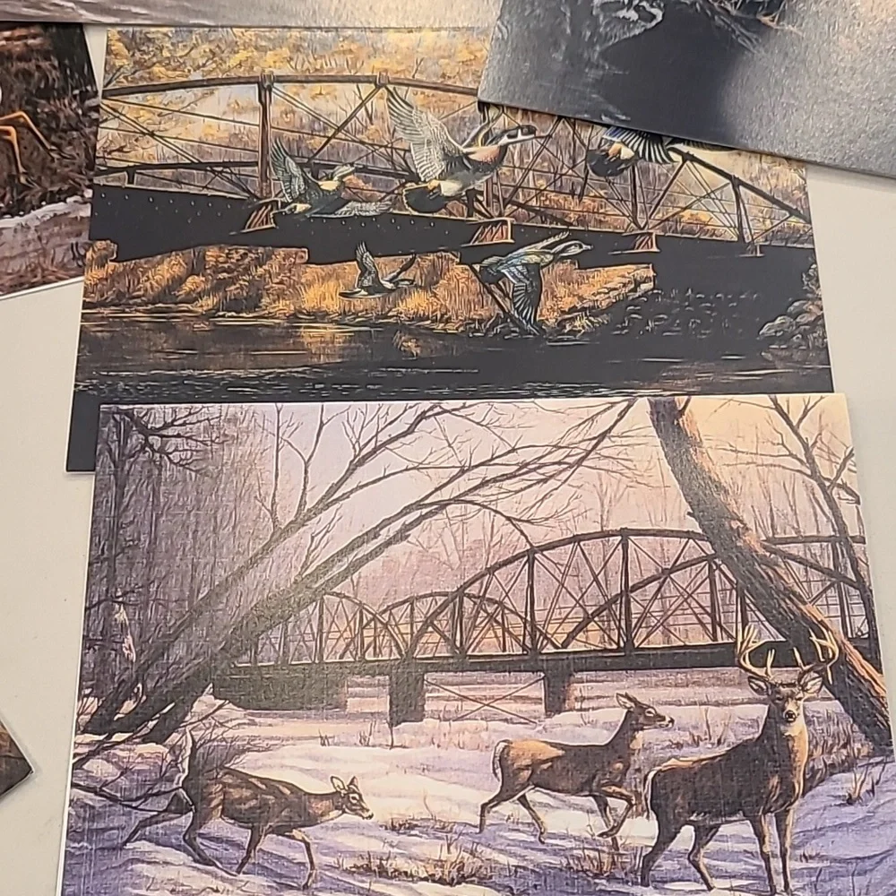 Set of 8 Wildlife McGilvray Photo Print Cards.